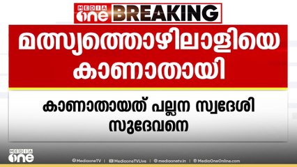 ആലപ്പുഴയിൽ മത്സ്യബന്ധന വള്ളം മറിഞ്ഞ് ഒരാളെ കാണാതായി; അപകടം പൊഴിയിലൂടെ കടലിലേക്ക് വള്ളം ഇറക്കവെ