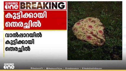 വാൽപ്പാറയിൽ പുലിയുടെ കാൽപ്പാടും പുലി കൊണ്ടുപോയ കുട്ടിയുടെ ഉടുപ്പിന്റെ ഭാഗവും കണ്ടെത്തി; തിരച്ചിൽ