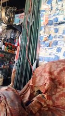 servis motor