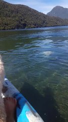 Jugando al kayak con Don Bruce... #kayak #bruce #carreteraaustral #aysen #sinseñal #patagonia #chile #raulmarinbalmaceda