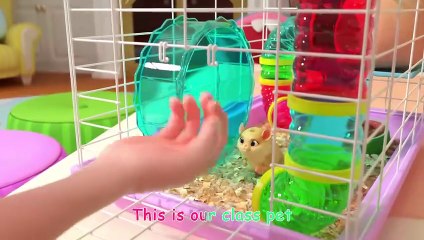 Class Pet Sleepover _ CoComelon Nursery Rhymes & Kids Songs_1080p