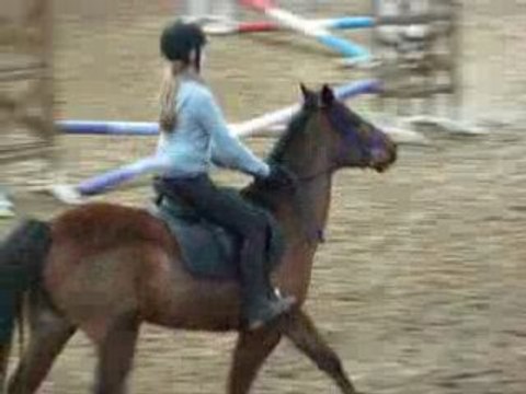 Détente du Concours à Boué, avec Ikabo, 50cm