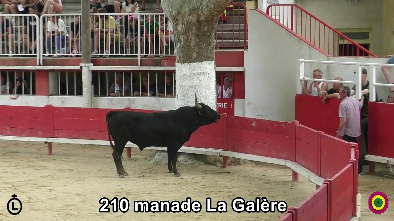 2025 06 07 La Galère 210