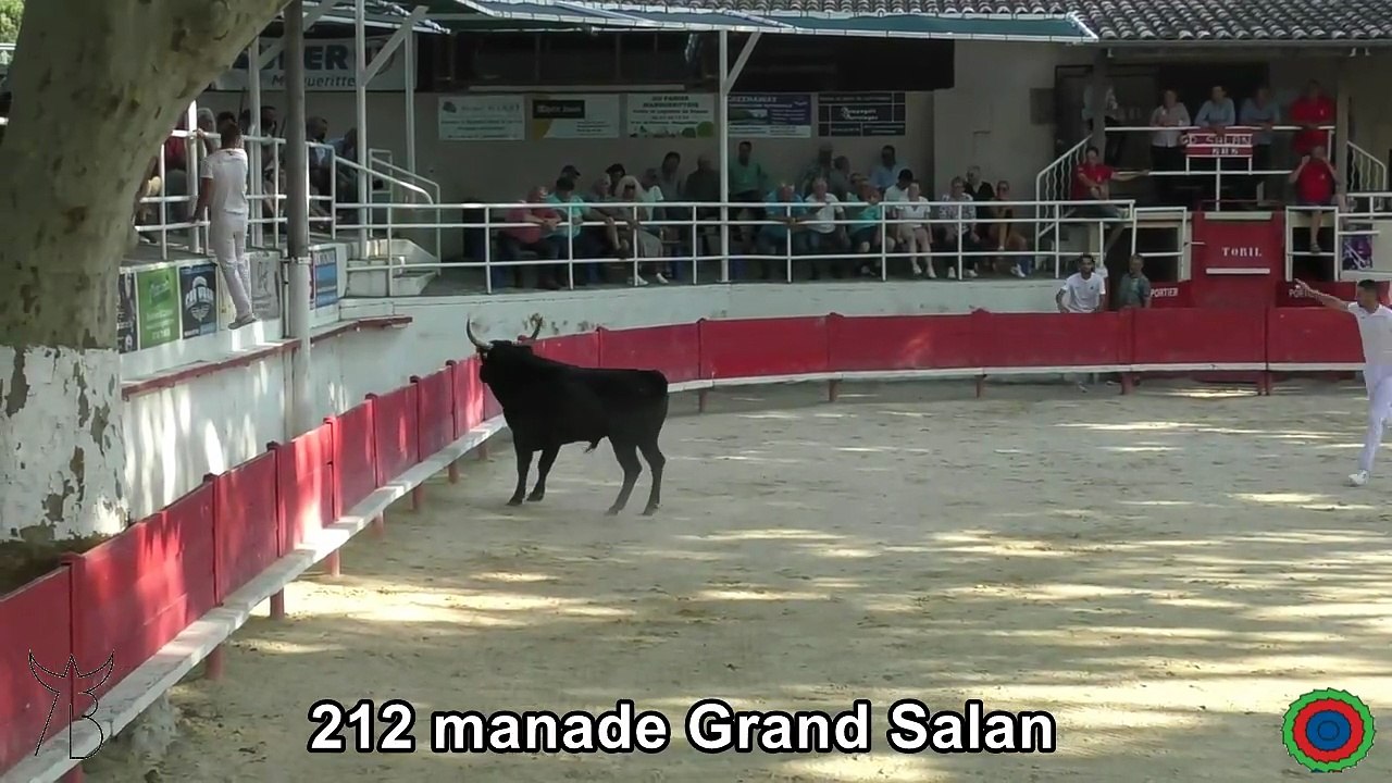 2025 06 07 Grand Salan 212