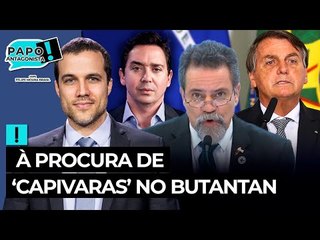 Bolsonaristas ainda querem sabotar Coronavac