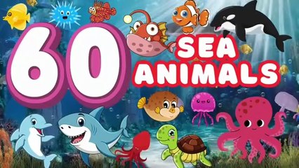 60 amazing sea animals for kids. Names and ocean facts..