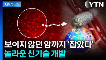 [자막뉴스] "다양한 암에 적용 가능"... 박테리아가 '열쇠' 될까 / YTN