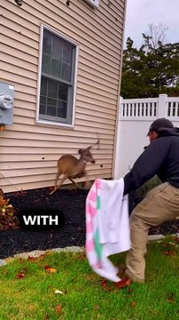 Wounded by a Hunter, Rescued by a Stranger #shorts