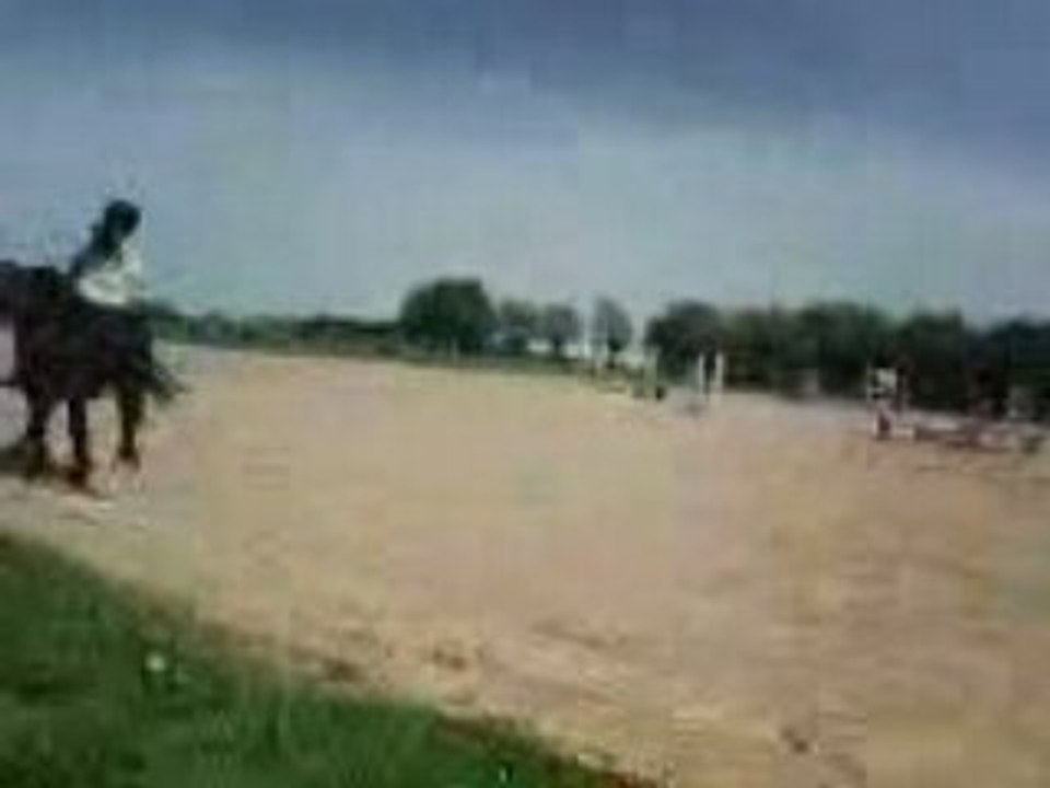 Moi sur Tom - 60 cm