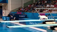 Olympic Cats in Action! 🐱🤣  Pisici Sărind în Piscină