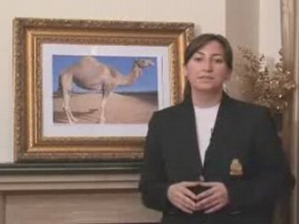 Miracle In Camel