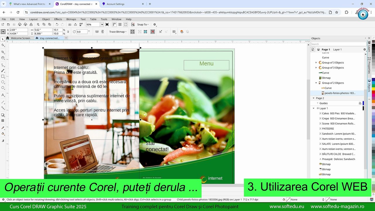 Curs Corel Draw 2025. Corel WEB