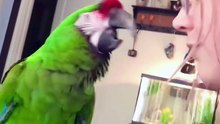 Parrots Imitate EVERYTHING! 🦜😂  Papagali Care Imită Orice