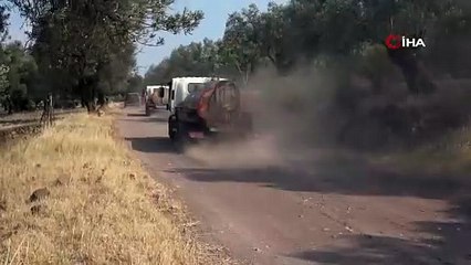 Ayvalık’ta Zeytinlik Alev Aldı, Ekipler Zamanla Yarıştı!