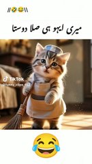 New funny comedy videos,funny days,New funniest co