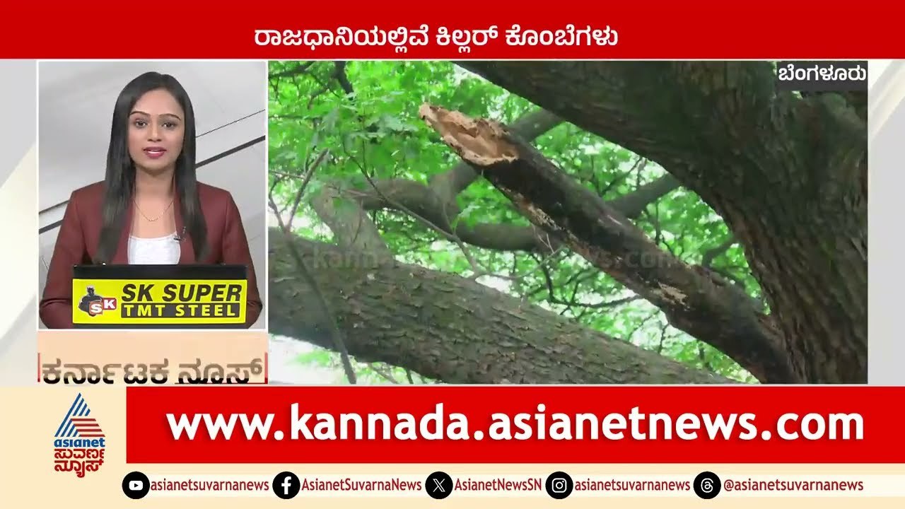 ರಾಜಧಾನಿಯಲ್ಲಿದೆ ಕಿಲ್ಲರ್ ಕೊಂಬೆಗಳು | Karnataka News Express | Suvarna News | Kannada News
