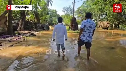 ଉଛୁଳୁଛି ସୁବର୍ଣ୍ଣରେଖା: ବାଲେଶ୍ୱରରେ ବନ୍ୟା ସ୍ଥିତି, ୫୦ ହଜାର ପ୍ରଭାବିତ