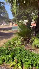 Delia (CL) - Bancheri: l’impianto di irrigazione del Parco Robinson. (21.06.25)