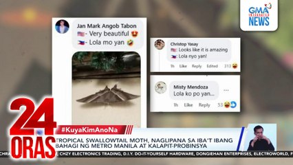#KuyaKimAnoNa? - Tropical swallowtail moth, bakit naglipana sa Metro Manila?... | 24 Oras
