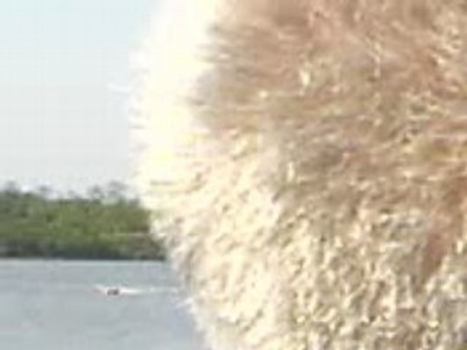 MOV00005