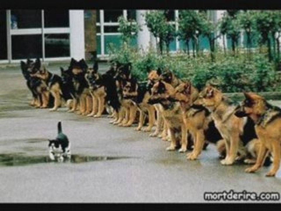 le monde est drole !