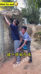 Kwai Funny tiktok  - Funny Videos 2024 Chinese Funny Video - Most View Chinese Funny Video