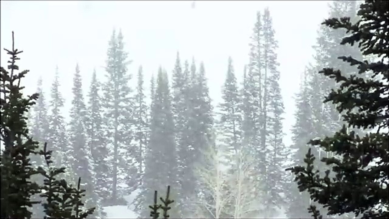 Schneesturm - Entspannung - Natur