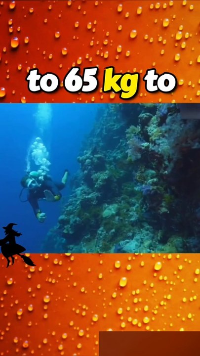 Subnado Underwater Scooter