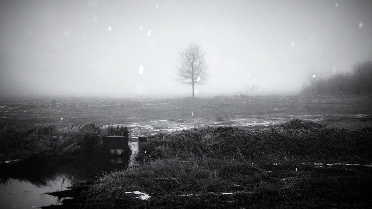 Road of bones {isolationism | dark ambient}