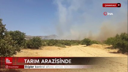 Çanakkale’de tarım arazisinde yangın