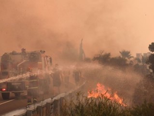 Außer Kontrolle: Feuer an der Adria-Küste sorgt für Chaos