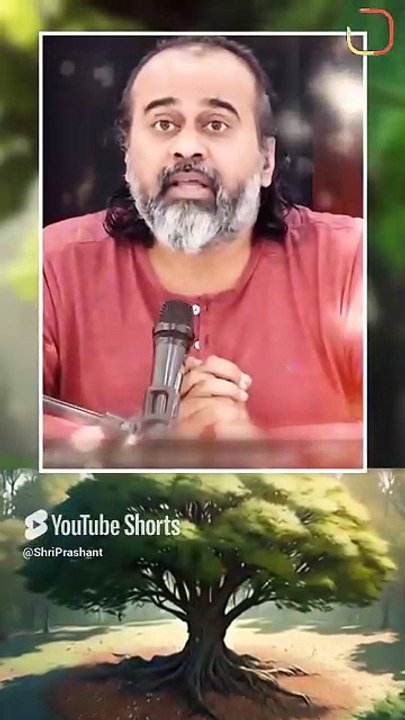 मज़बूत वृक्ष बनो! || आचार्य प्रशांत