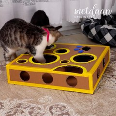 DIY toys your cats will love 😻