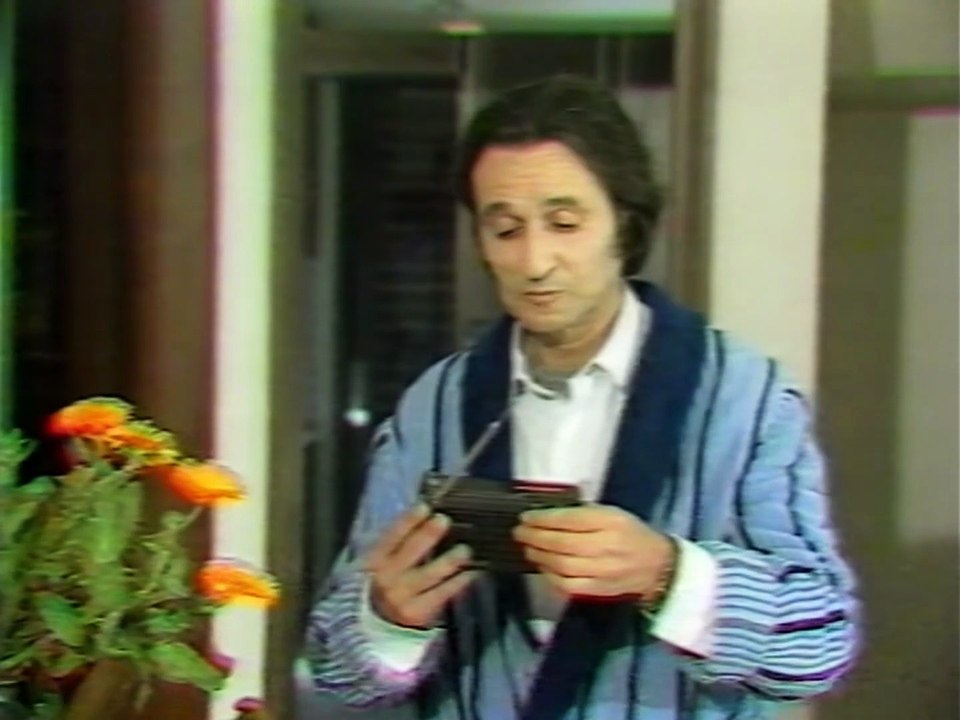 Ο Πεθερόπληκτος (1988)