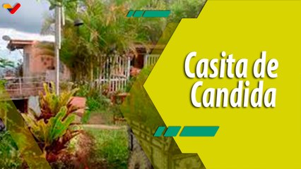 Dale Play| La Casita de Candida: Un tesoro escondido en las montañas de Los Teques