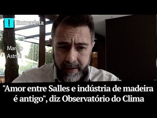 "Amor entre Salles e indústria de madeira é antigo", diz Observatório do Clima