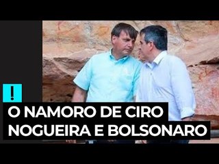 Bolsonaro: Ciro Nogueira "não está apaixonado por mim, mas está me namorando"
