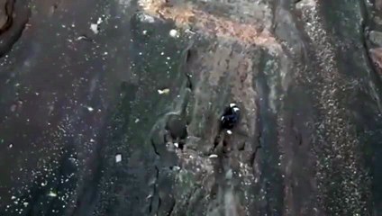 Drama en Indonesia: Cayó 300 metros y lleva más de 12 horas esperando un rescate (Video)