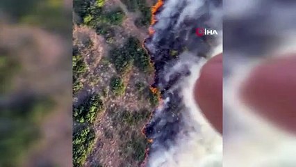 Manisa Kırkağaç’ta orman yangınına müdahale sürüyor