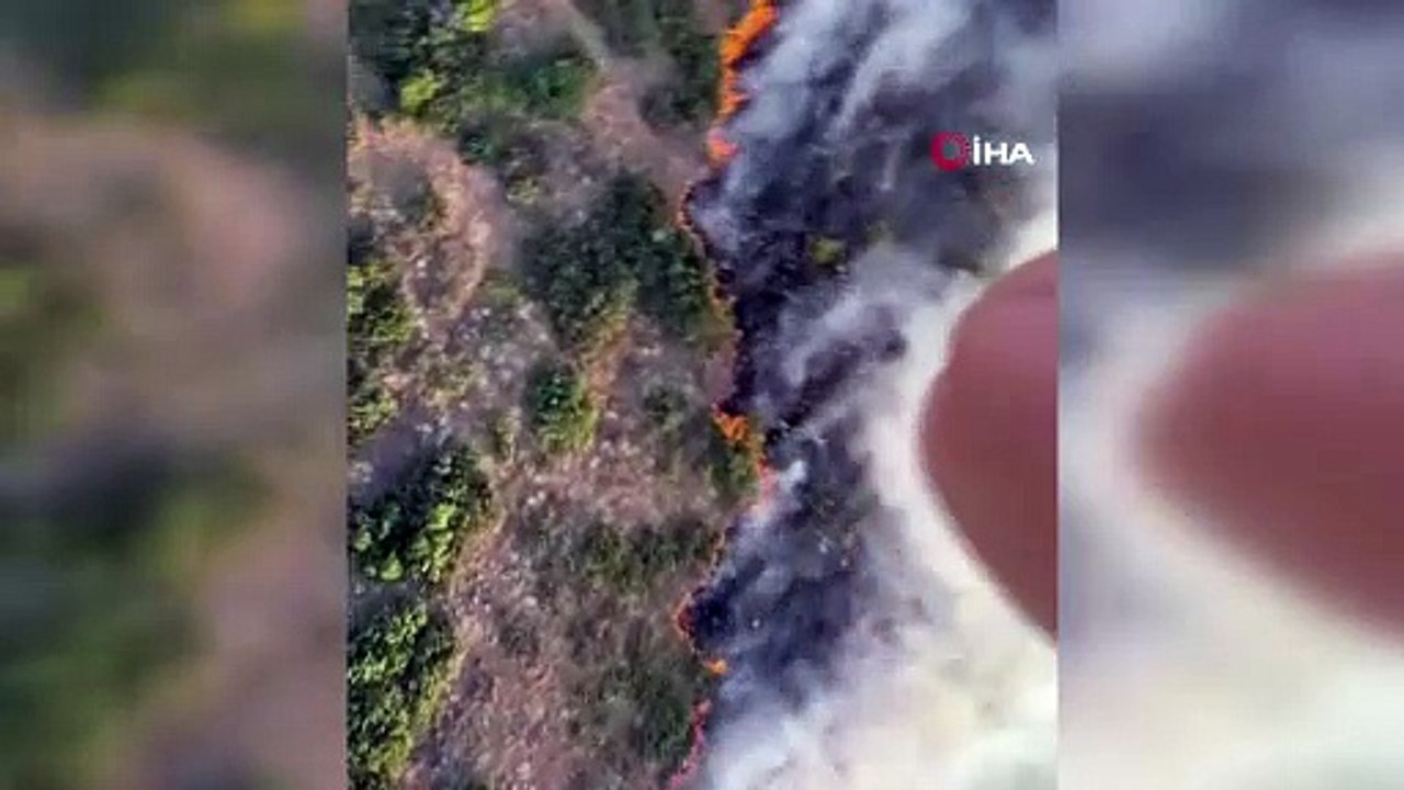 Manisa Kırkağaç’ta orman yangınına müdahale sürüyor