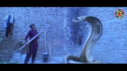 Naagraaj - blockbuster trailers | 90's hit video | Zain Studio Nice