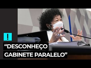 Nise: "Desconheço gabinete paralelo ou muito menos que eu integre gabinete paralelo"