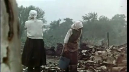 Stalingrado: El Ataque Decisivo en la Segunda Guerra Mundial