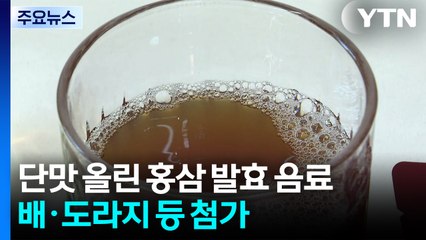 [新농비] 쓴 맛은 줄이고 단맛은 올리고...홍삼 발효 음료 / YTN
