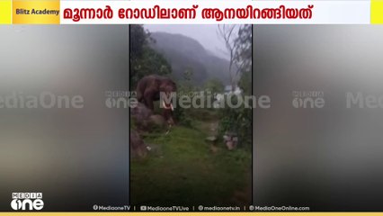ഇടുക്കി  മറയൂരിൽ വീണ്ടും പടയപ്പയിറങ്ങി.. O
