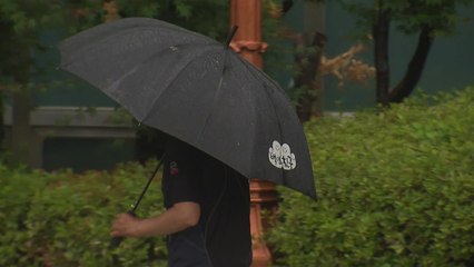 [날씨] 밤까지 전국 산발적인 비...내일 다시 무더위 / YTN