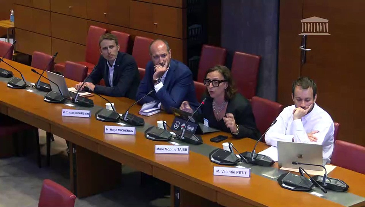 Effets psychologiques de TikTok sur les mineurs :  Table ronde sur les radicalités - Mardi 24 juin 2025