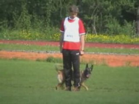 FMBB-2008-UO-Schmidt/Whisper