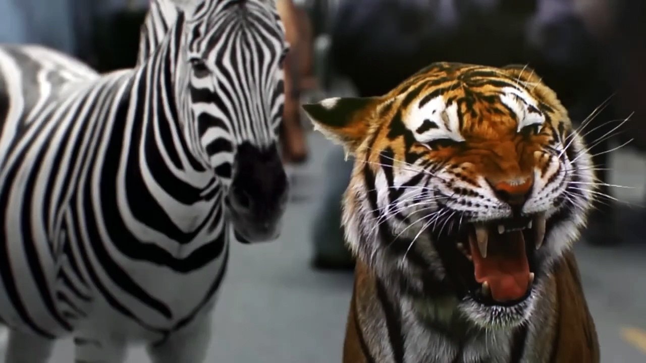 Staffel 2 | show | 2016| S2 | Official Trailer