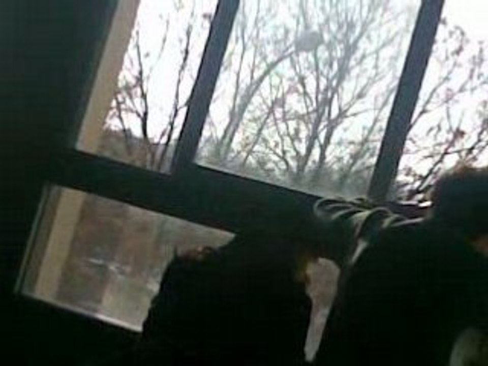 28 novembre 2007 - En Cours De Dessin